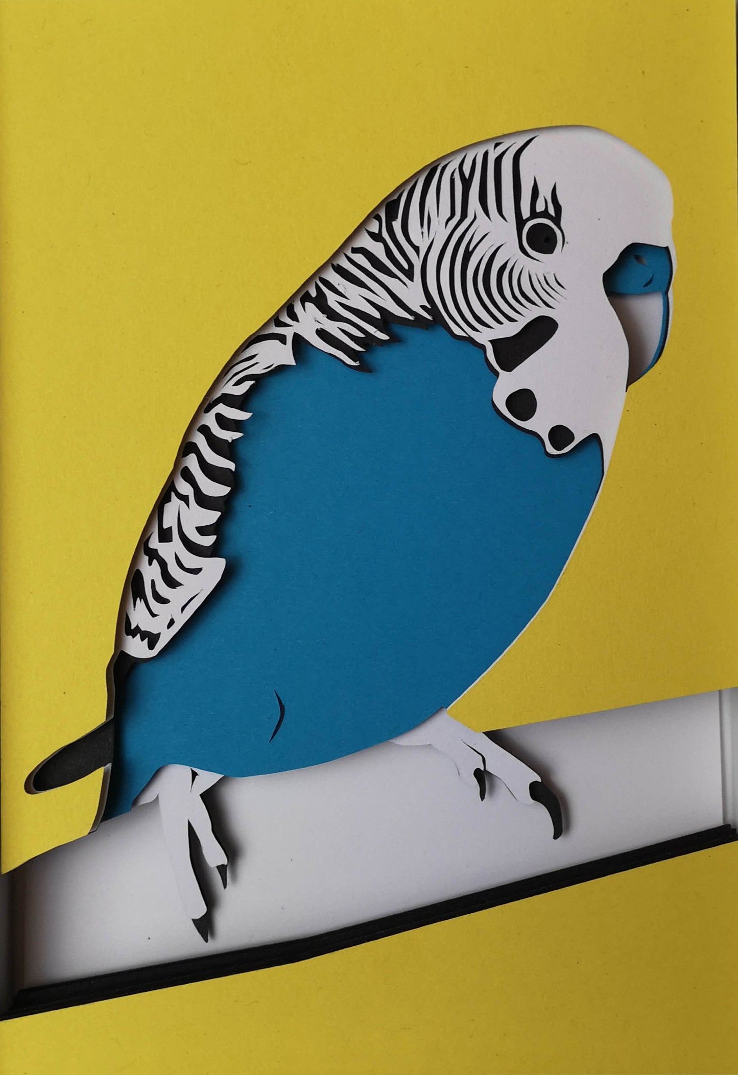 Budgie