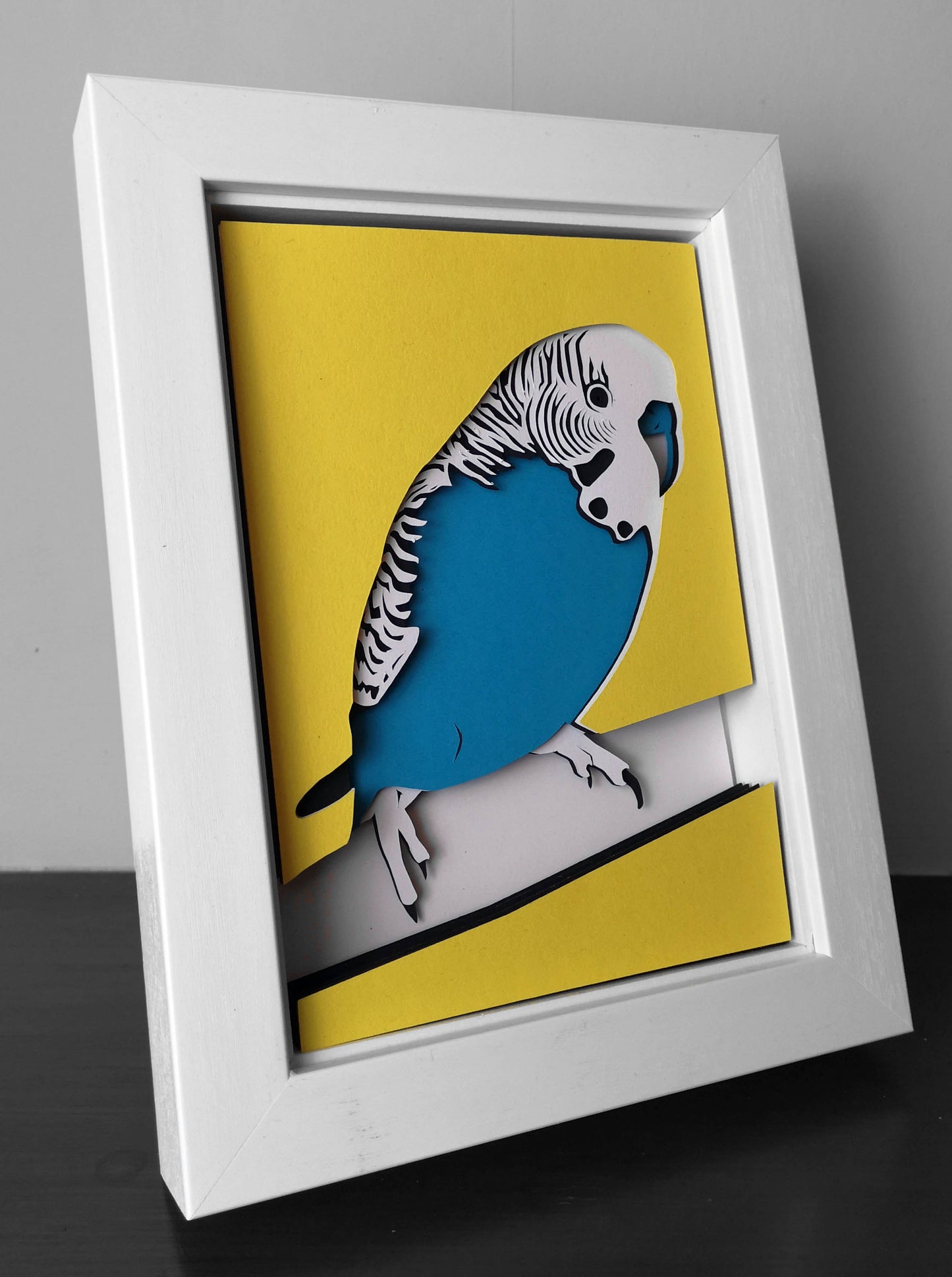 Budgie
