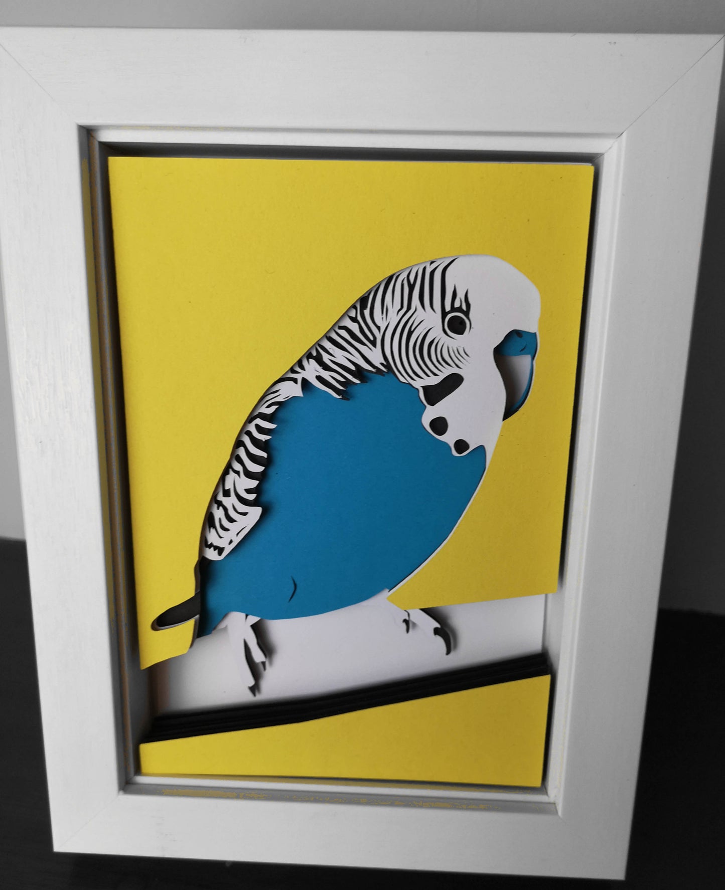 Budgie