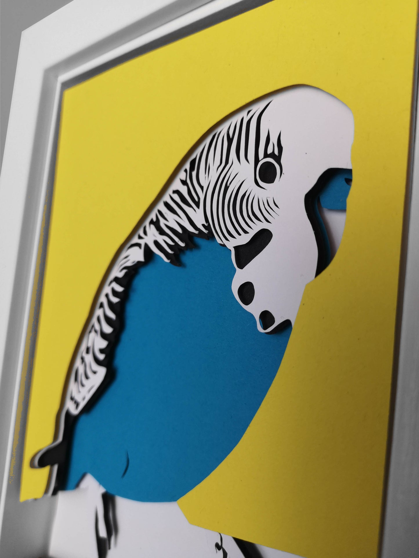 Budgie