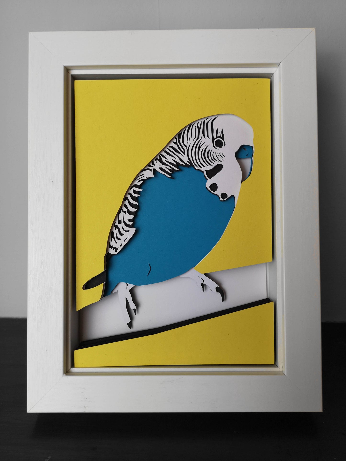 Budgie