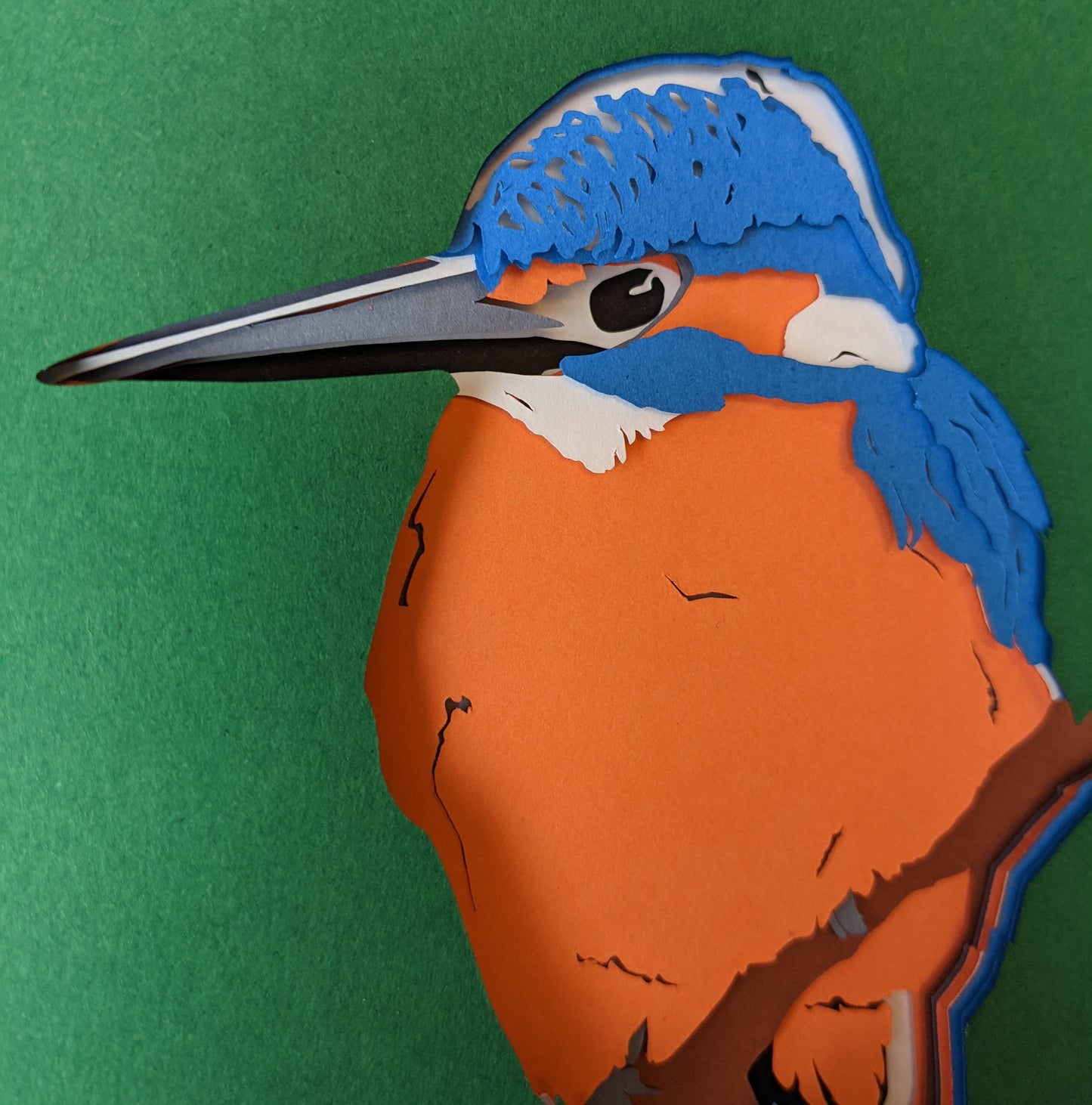 Kingfisher